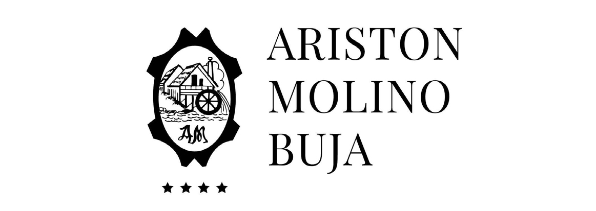 logo ariston molino